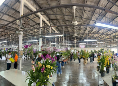 ลงพื้นที่ศึกษาแนวทางการจัดงานประกวดกล้วยไม้ของสมาคมพฤกษชาติแห่งประเทศไทย ในพระบรมราชูปถัมภ์ ณ บางกอกฟลาวเวอร์ เซนเตอร์ เขตหนองแขม กรุงเทพมหานคร ... พารามิเตอร์รูปภาพ 21